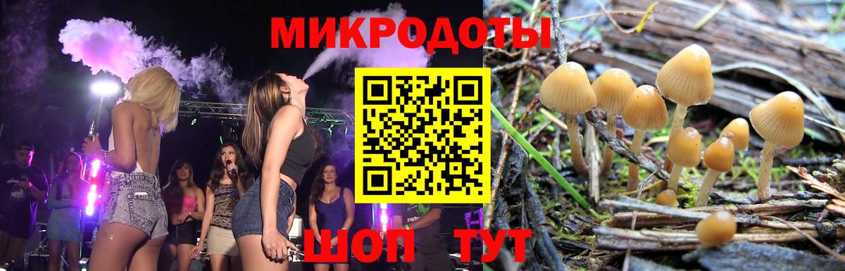 Галлюциногенные грибы мицелий Элиста